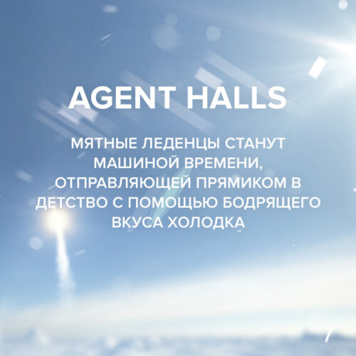 Чайная смесь 4-20 Agent Halls