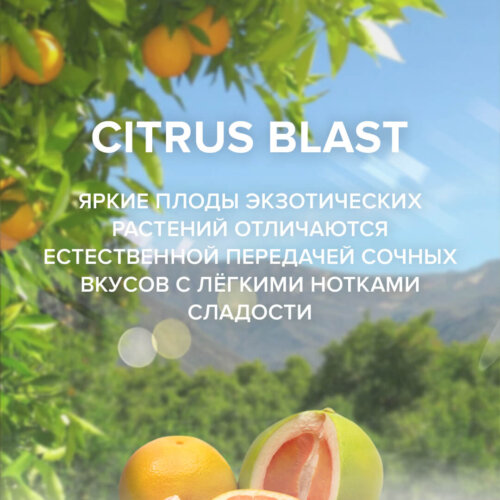 Чайная смесь 4-20 Citrus Blast