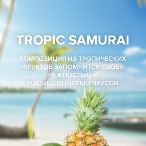 Чайная смесь 4-20 Tropic Samurai2