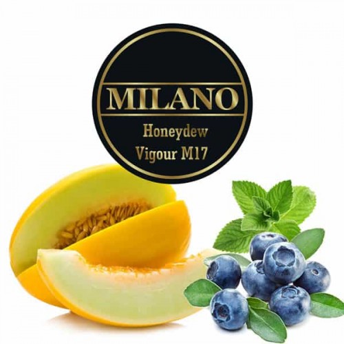 Табак для кальяна Milano Honeydew Vigour M17
