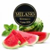 Табак для кальяна Milano Watermelon M20
