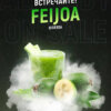 Табак 420 Feijoa (Фейхоа)