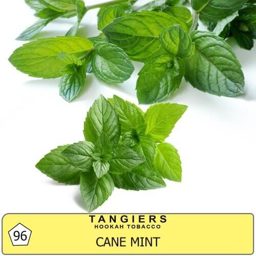 Табак Tangiers Noir Cane Mint 96 - перечная мята