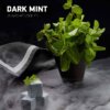 Табак Darkside Dark mint