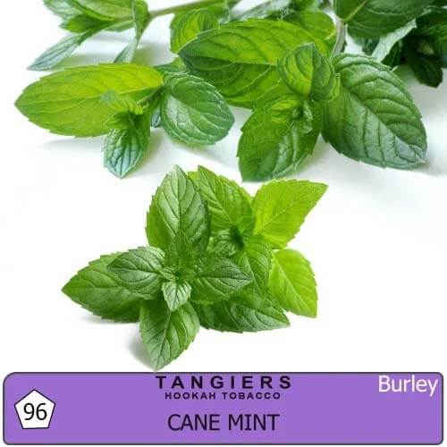 Табак Tangiers burley Cane Mint 96 - перечная мята