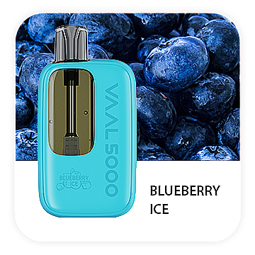 VAAL 5000 Blueberry ice (Черника лед)
