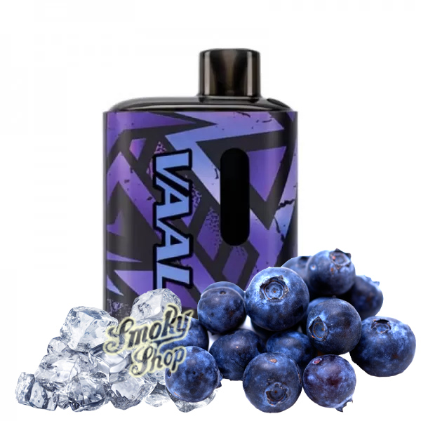 Одноразова електронна сигарета VAAL E5000 Blueberry ice (Чорниця лід)