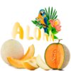 Безникотиновая смесь для кальяна Aloha Дыня (40 грамм)