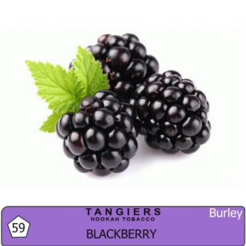 Табак для кальяна Tangiers Burley Blackberry 59 (Эжевика