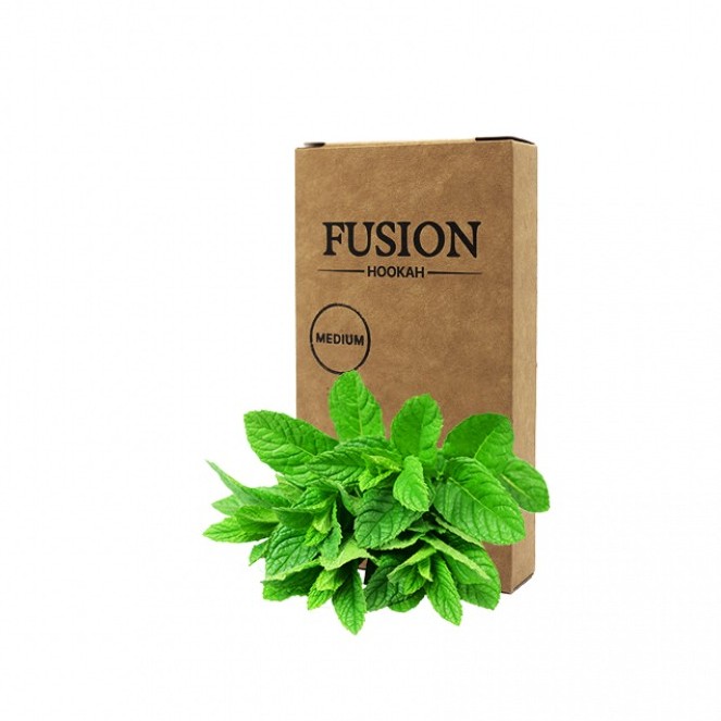 Табак Fusion Medium Mint (Мята, 100 г)