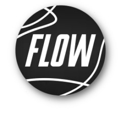 flow-logo