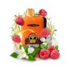 Одноразовый POD Elf Bar GH 23000 Jasmine Raspberry (Жасмин, Малина)