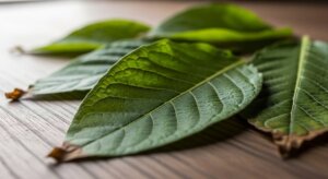 органический табак для кальяна