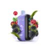 Одноразовый POD Elf Bar Raya D3 25000 Blackberry Cranberry (Ежевика, Клюква)